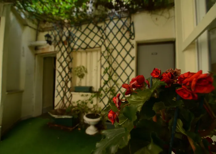 Montpellier Paris